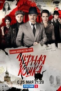 Черная кошка 1 сезон 