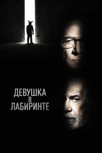   Девушка в лабиринте (2020)