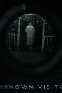 Незнакомый гость (2019)